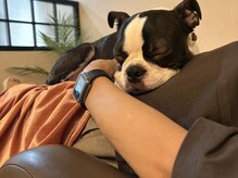 ヘアーアンドスパ ラスター(Luster)の雰囲気（人懐っこい愛され犬☆アッシュ君です！抱っこ大好き＆癒し～♪）