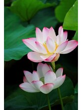 スック(SUK)&nbsp;まり 