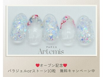 アルテミス(Artemis)/定額デザイン15種＊カラー変更◎