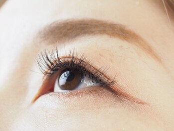 ワードローブ バイ シェリー(Wardrobe by CHERIE)/ボリュームラッシュ120束