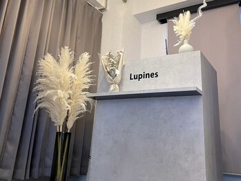 ルピナス バイ ワンズ 橋本店(Lupines by ONE's)(神奈川県相模原市緑区)