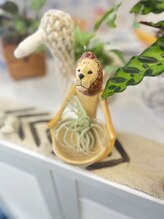 マシュマロハンド/よもぎ蒸し/冷え/むくみ改善