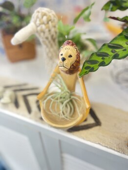 マシュマロハンド/よもぎ蒸し/冷え/むくみ改善