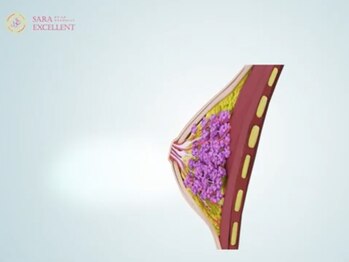 サラエクセレント 銀座/バスト/育乳/バストケア/銀座