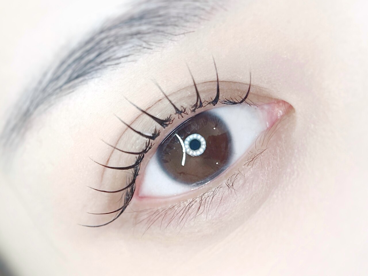 オーダー つけまつげ 楽天市場】つけまつげ ディーアップ アイラッシュ RICH 809