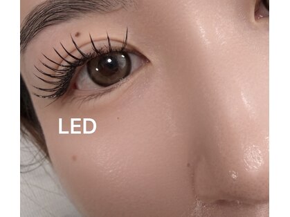 アリーズ アイラッシュ(Ally's Eyelash)の写真