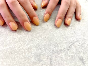 モレリア(morelia)/カラーグラデーション