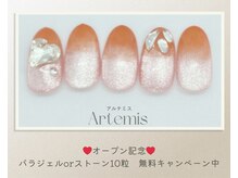 アルテミス(Artemis)/定額デザイン15種＊カラー変更◎