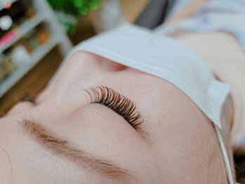 ミンミ(MINMI)/3Dブラウン3色100束