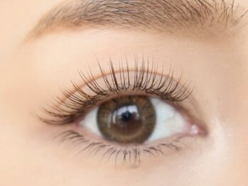 ベルーチェ(BELUCE)の写真/はじめての方も納得の仕上がり《眉毛/まつ毛/フェイシャル》豊富なメニューが勢揃い！