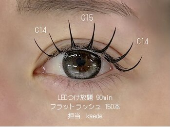 ウォルトウキョウ 渋谷(WOL TOKYO)/LED90分付け放題