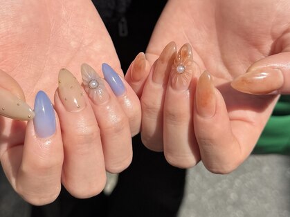 マイア(maia)の写真