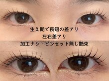 エースラッシュエヌ(A/N)/まつげパーマ仕上がりの美