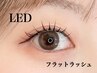 【NEW★LEDフラットラッシュ】80本￥6200/ご新規様初回オフ無料