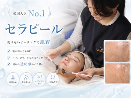 アウラ(Aula)の写真