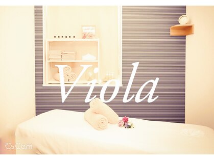 ヴィオラ(Viola)の写真
