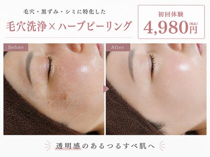オレオマ(OLEOMA)の写真