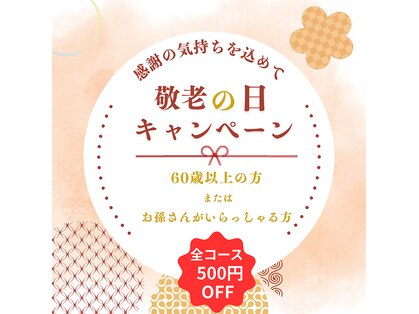 アビエスフィルマ(abies firma)の写真