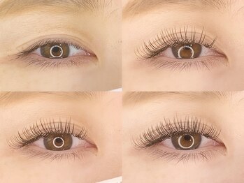 ボンズサロン(BONDZSALON)/Flatlash　本数別