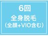 【6回】全身+全顔+VIO脱毛¥118800(単価:¥19800)