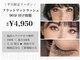 マドンナリリー(Madonna Lily)の写真