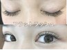 ［再来］フラットラッシュ180本