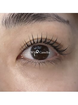 ホワイトカメリア 梅田茶屋町店(White Camellia)/まつ毛パーマ/マツエクサロン