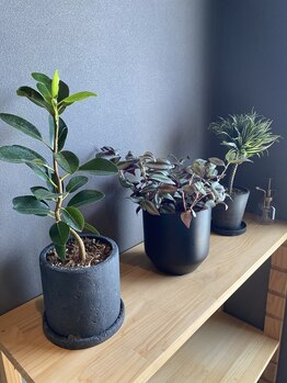 ヴァローレ(valore)/店内様子☆腸もみ/肩甲骨ケア