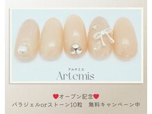 アルテミス(Artemis)/定額デザイン15種＊カラー変更◎