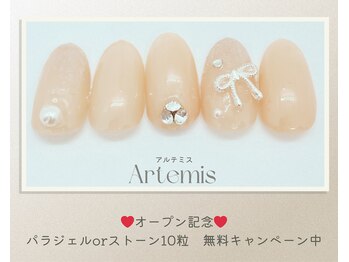 アルテミス(Artemis)/定額デザイン15種＊カラー変更◎