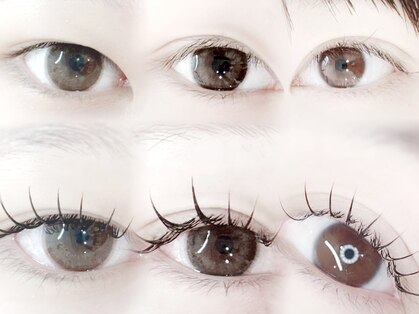 メメ(MEME)の写真