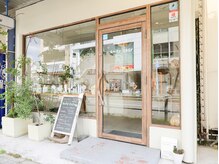 アミティ コーシー(amity cosy)