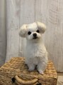 リュール(Lueur) うちの長女♪マルチーズとポメラニアンのミックスです!
