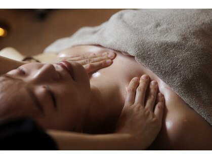 ステラ(Stella)の写真