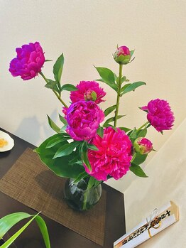 アフェットレガーレ 京都三条店(affetto legare)/シャクヤクに代わりました☆