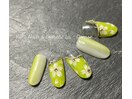 ダイヤモンド　（定額制）¥11000