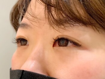 ヴィヴァーチェ アイアイ(Vivace i Eye)/フラットマットラッシュ100本