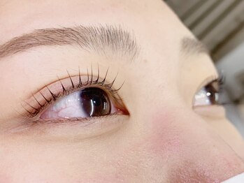 ブロンズアイ(BRONZE EYE)/ナチュラル仕上げ★まつ毛パーマ