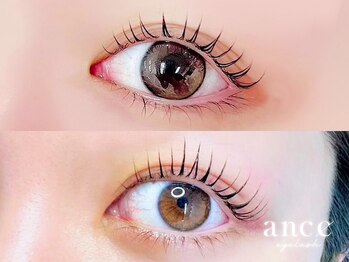 アンセ アイラッシュ 薬院店(ance eyelash)の写真/[薬院/まつ毛パーマ/パリジェンヌ］【デザイン力に感動】目元可愛さ2倍!ダメージレスまつげパーマ♪
