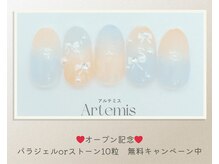 アルテミス(Artemis)/定額デザイン15種＊カラー変更◎