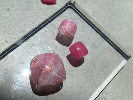 定額コース