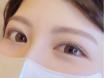 ホリー(holly)の写真
