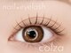 コルザ(colza)の写真