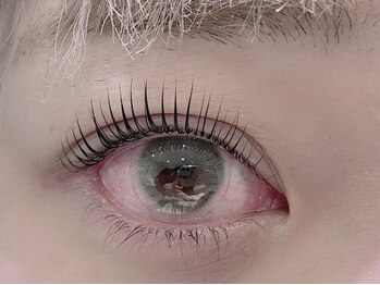 バレッタ(Barretta by neolive)/パリジェンヌ