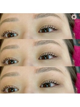 ルルフルーリア(LuLu Fleurir)/まつ毛パーマ＆アイブロウWAX