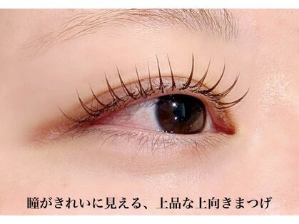 イロドリ(IRODORI)の写真