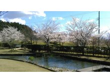 燕健友館健和堂/酒呑童子神社の桜