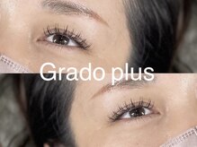 グラードプラス(Grado plus)/バインドフラット80束