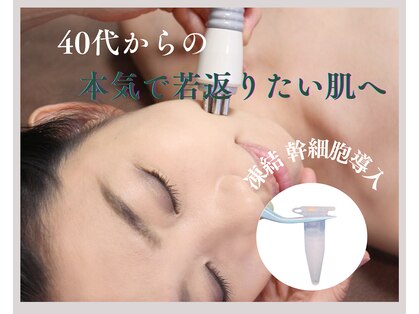 セリーニ(Selini)の写真