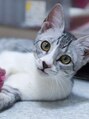癒し～ぷ 東村山店&nbsp;家族で保護猫のくうです。子供の頃から猫拾っちゃうタイプ？です